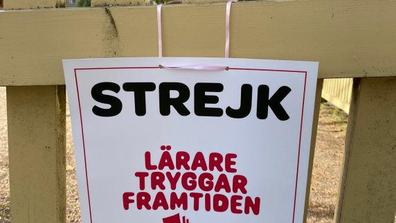 WhatsApp Image 2024 05 13 at 08.42.55 2